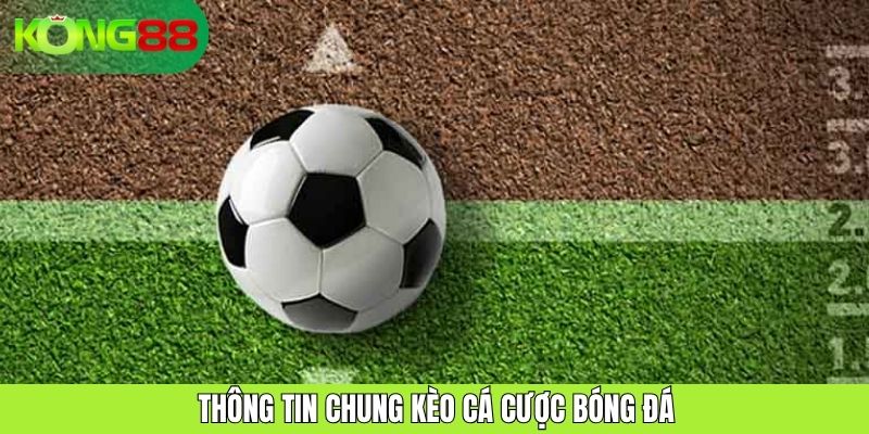 Kèo Cá Cược Bóng Đá KONG88: Cơ Hội Cho Người Đam Mê Thể Thao