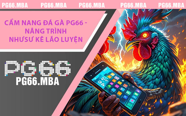 Cẩm Nang Đá Gà PG66 - Nâng Trình Như Sư Kê Lão Luyện