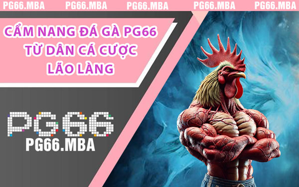 Cẩm Nang Đá Gà PG66 - Nâng Trình Như Sư Kê Lão Luyện