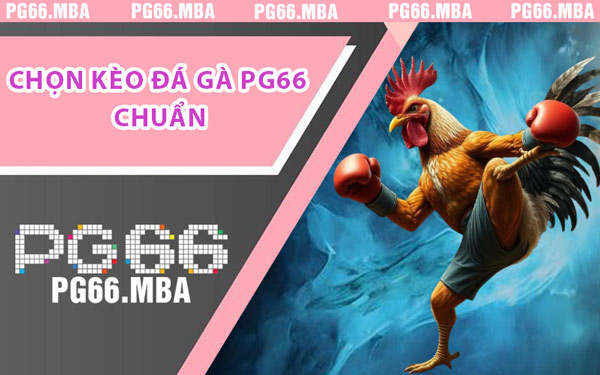 Cẩm Nang Đá Gà PG66 - Nâng Trình Như Sư Kê Lão Luyện