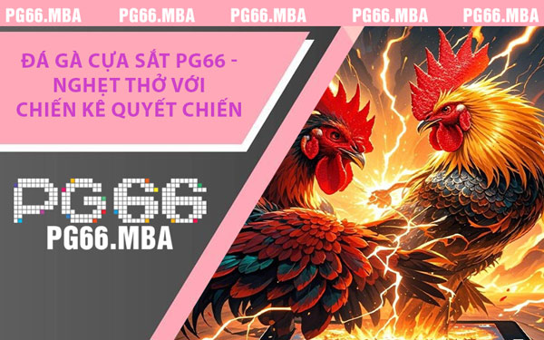 Đá Gà Cựa Sắt PG66 - Nghẹt Thở Với Chiến Kê Quyết Chiến