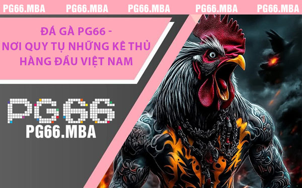 Đá Gà PG66 - Nơi Quy Tụ Những Kê Thủ Hàng Đầu Việt Nam