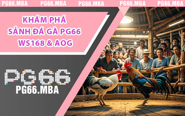 Đá Gà PG66 - Nơi Quy Tụ Những Kê Thủ Hàng Đầu Việt Nam