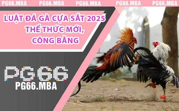 Đá Gà Cựa Sắt PG66 - Nghẹt Thở Với Chiến Kê Quyết Chiến