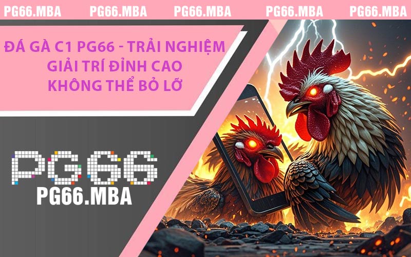 Đá Gà C1 PG66 - Giải Trí Thăng Hoa, Tràn Đầy Kịch Tính