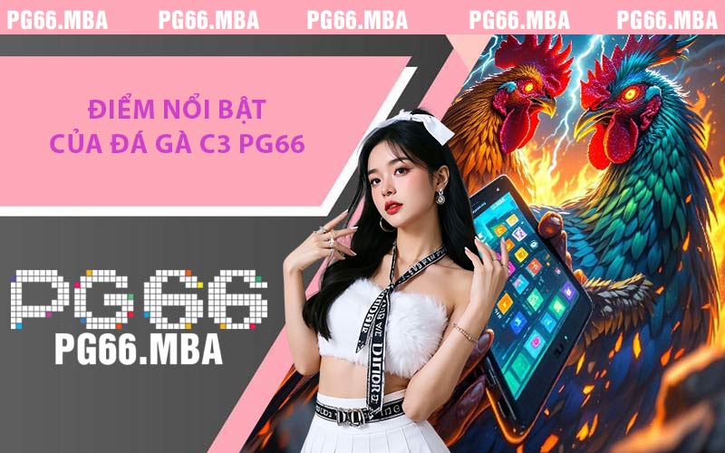Đá Gà C3 PG66 - Tổng Quan & Những Lưu Ý An Toàn Cần Biết