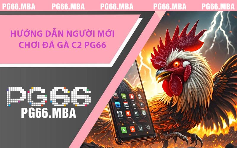 Đá Gà C2 PG66 - Trận Chiến Kịch Tính Thắng Lợi Nhanh Chóng
