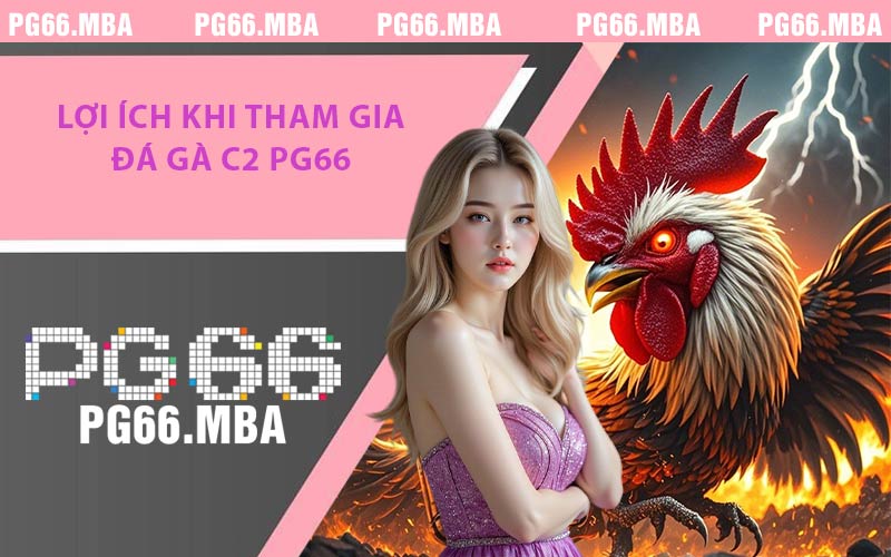 Đá Gà C2 PG66 - Trận Chiến Kịch Tính Thắng Lợi Nhanh Chóng
