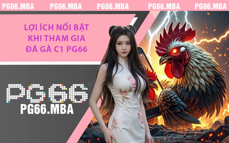 Đá Gà C1 PG66 - Giải Trí Thăng Hoa, Tràn Đầy Kịch Tính