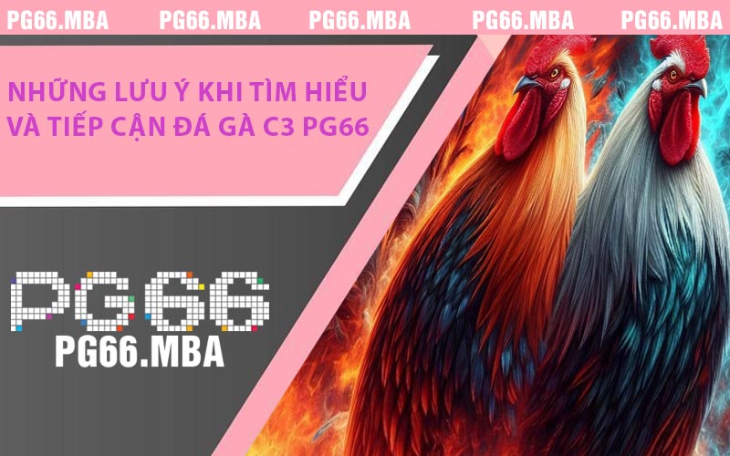 Đá Gà C3 PG66 - Tổng Quan & Những Lưu Ý An Toàn Cần Biết