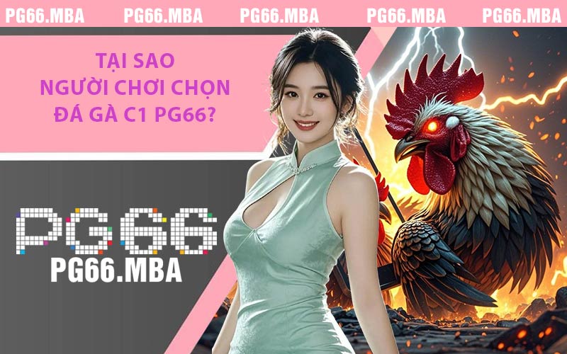 Đá Gà C1 PG66 - Giải Trí Thăng Hoa, Tràn Đầy Kịch Tính