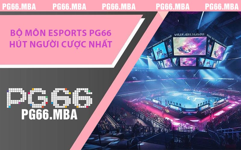 Esports PG66 - Chiến Thuật Đỉnh Cao Dành Cho Game Thủ