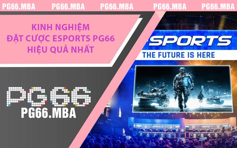 Esports PG66 - Chiến Thuật Đỉnh Cao Dành Cho Game Thủ