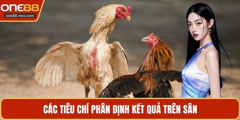 Đá Gà Cựa Sắt - Tìm Hiểu Chi Tiết Về Trận Đấu Kịch Tính