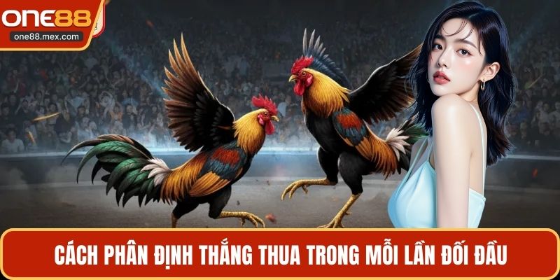 Đá Gà Chọi Thomo - Đấu Trường Trực Tuyến Hấp Dẫn Nhất