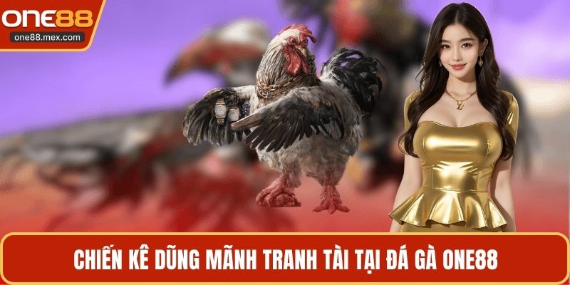 Đá Gà ONE88 - Sảnh Cá Cược Kê Chiến Đỉnh Cao Nhất 2026