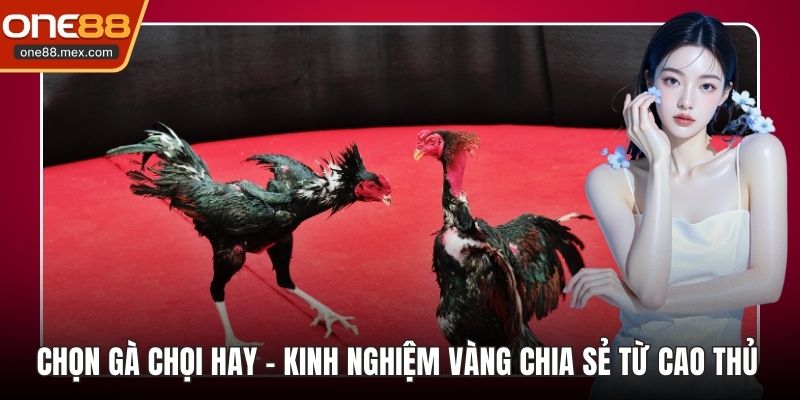 Nổ Hũ PG - Sảnh Game Đổi Thưởng Đỉnh Cao Tại Nhà Cái