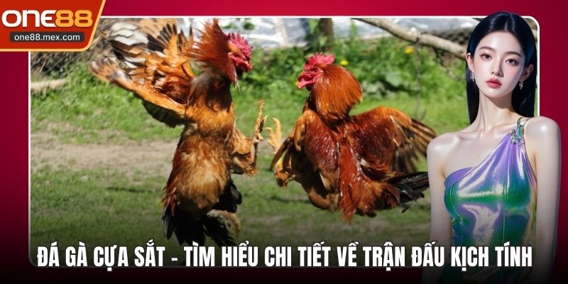 Bắn Cá Xèng - Điểm Giải Trí Đổi Thưởng Hàng Đầu 2026