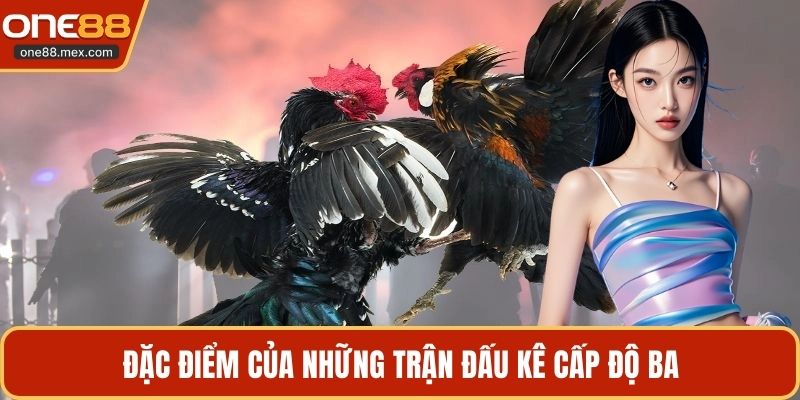 Đá Gà C2 C3 C4 - Theo Dõi Các Trận Đấu Kịch Tính Nhất
