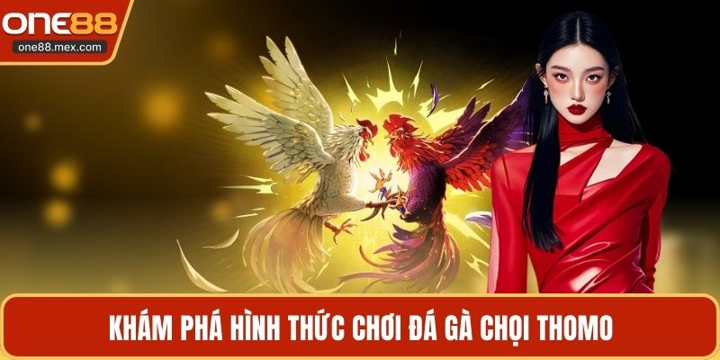 Đá Gà Chọi Thomo - Đấu Trường Trực Tuyến Hấp Dẫn Nhất