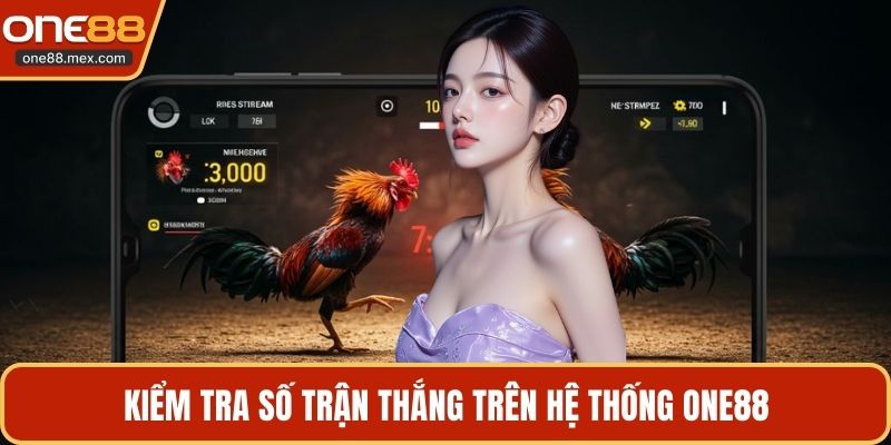 Chọn Gà Chọi Hay - Kinh Nghiệm Vàng Chia Sẻ Từ Cao Thủ