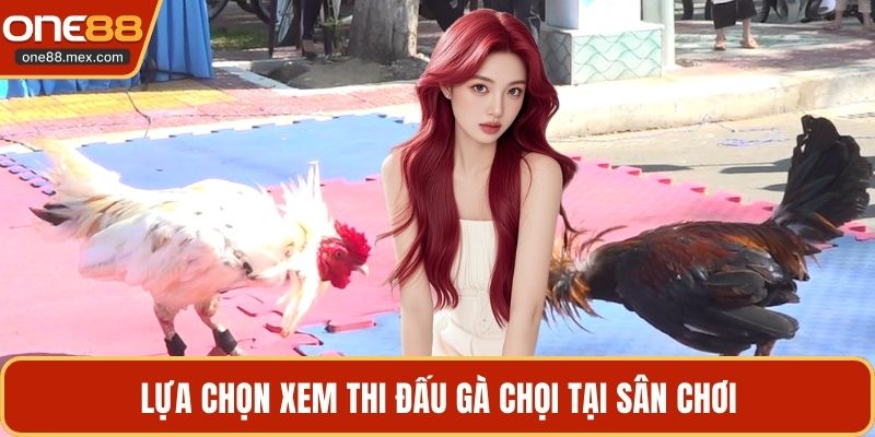 Trực Tiếp Đá Gà 167 - Khám Phá Các Trận Đấu Hấp Dẫn