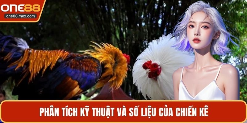 Đá Gà C2 C3 C4 - Theo Dõi Các Trận Đấu Kịch Tính Nhất