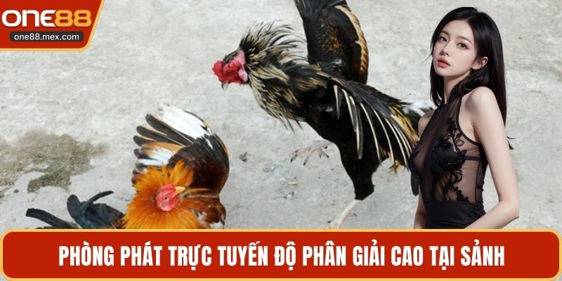 Đá Gà Dao Philippines - Sân Chơi Kịch Tính Tại ONE88