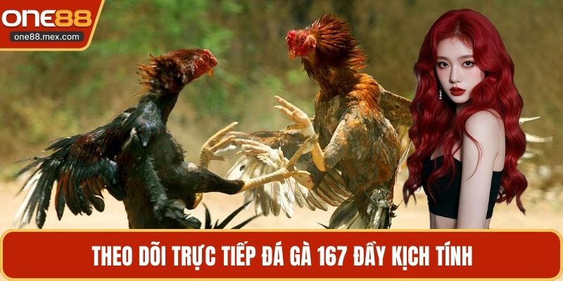 Trực Tiếp Đá Gà 167 - Khám Phá Các Trận Đấu Hấp Dẫn