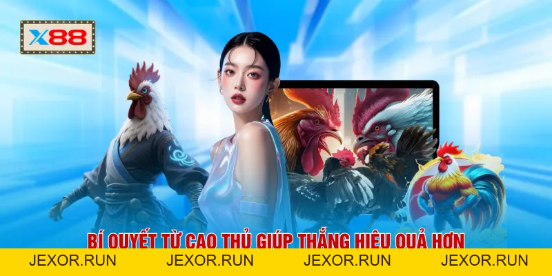 Đá Gà Cựa Sắt - Căng Thẳng Từng Giây Hấp Dẫn Nhất 2026