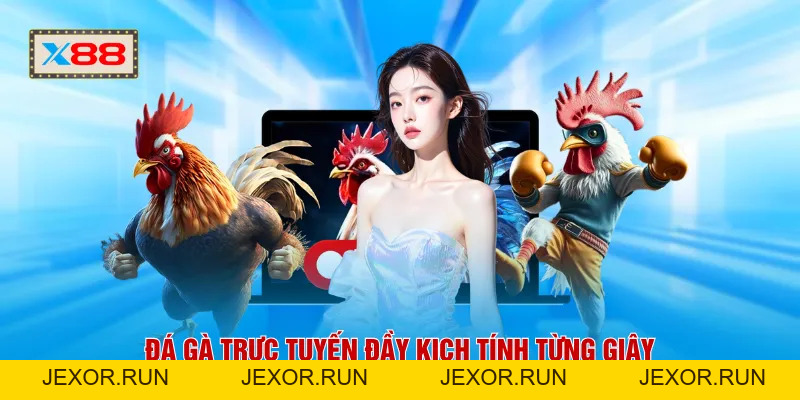 Đá Gà X88 - 99+ Trận So Tài Nảy Lửa Mỗi Ngày Cực Hấp Dẫn