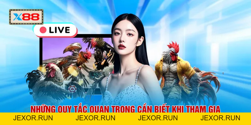 Đá Gà Thomo X88 - Sức Nóng Trường Đấu Lan Tỏa Suốt 24H